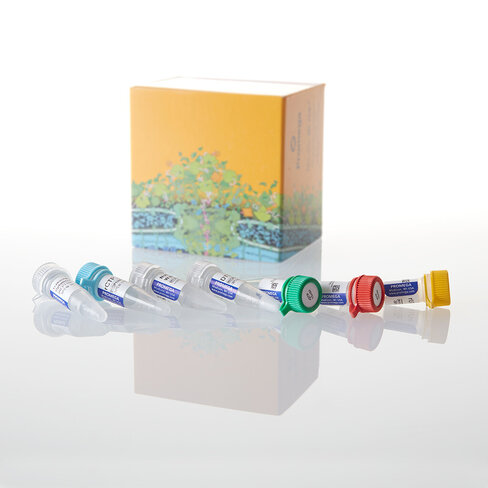 Riboprobe System Buffers