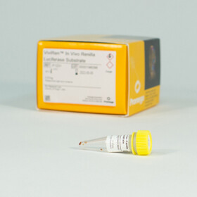 ViviRen In Vivo Renilla Luciferase Sub