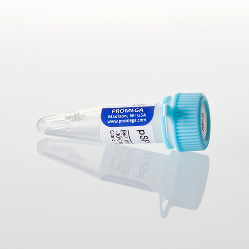 PSP72 Vector, 20 µg
