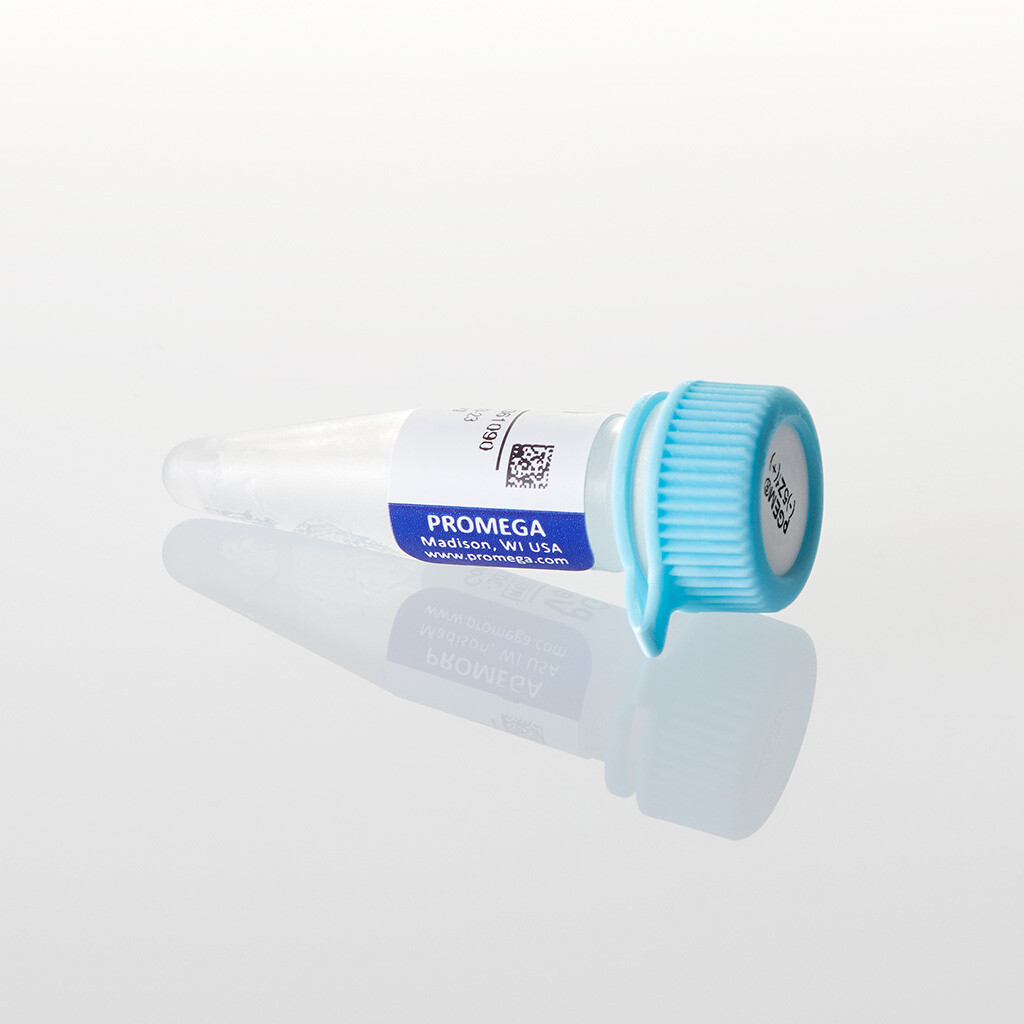 PGEM -5Zf(+) Vector, 20 µg