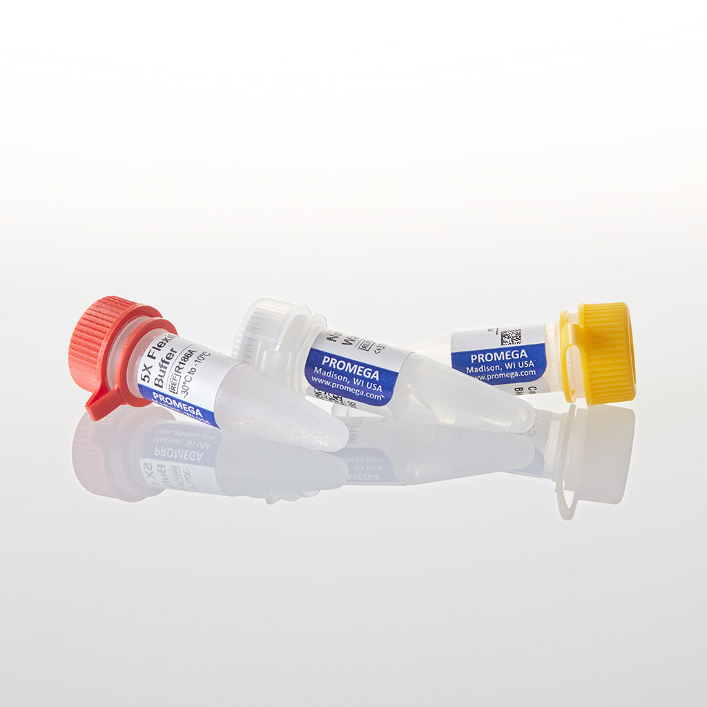 Carboxy Flexi Enzyme Blend 50 µl