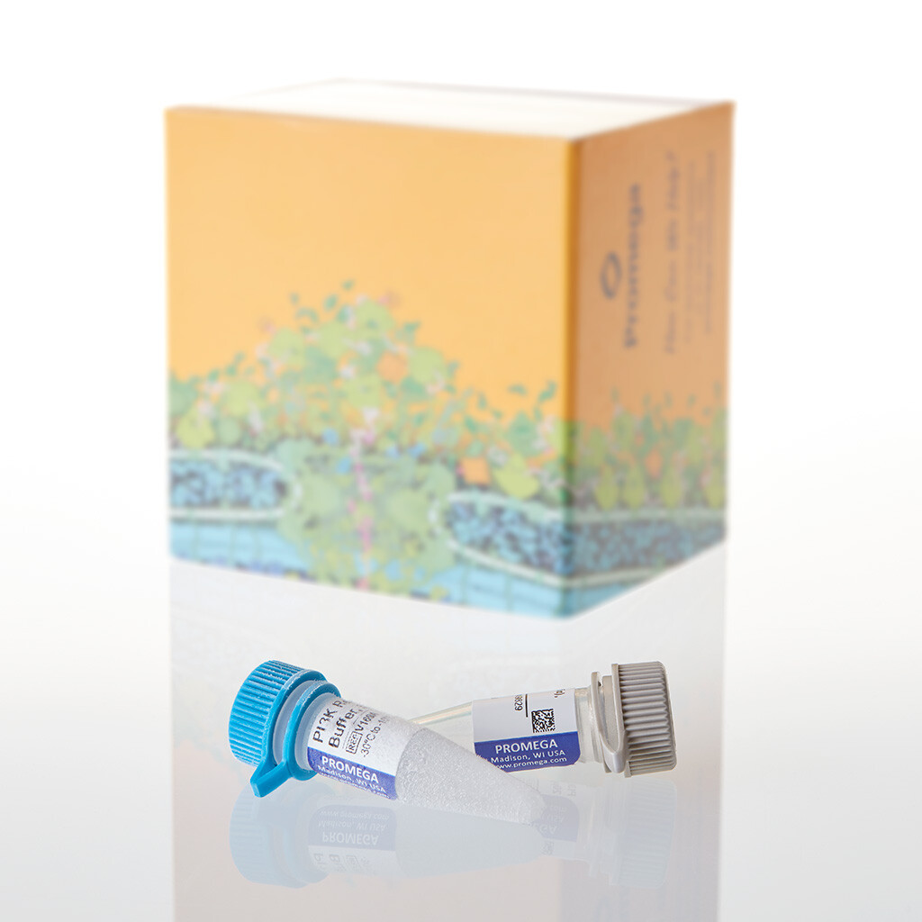 PI3K (p110 Alpha [E545K]/p85 Alpha), 20 ?g