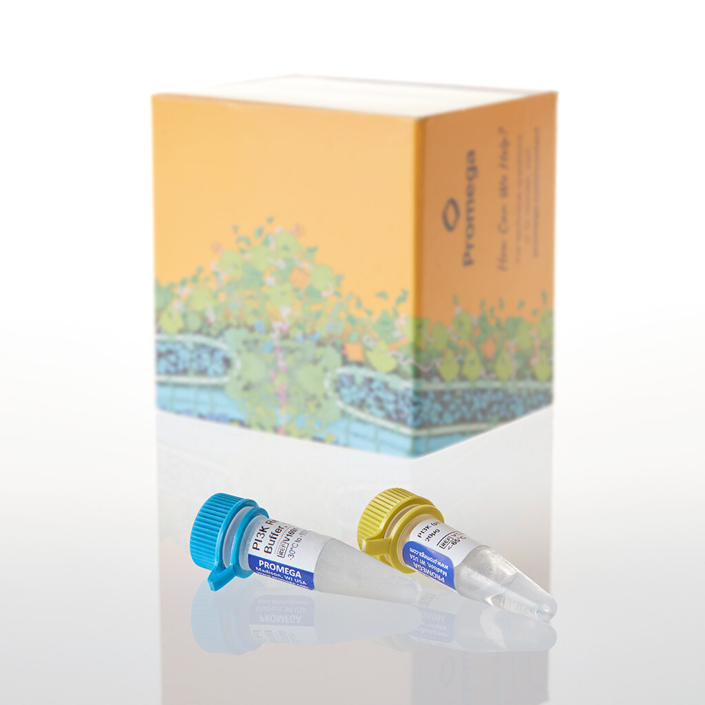 PI3K (p110 Alpha [H1047R]/p85 Alpha), 20 ?g