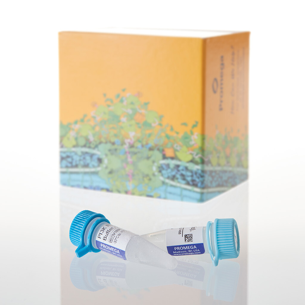 PI3K (p110?/p85 Alpha), 20 ?g