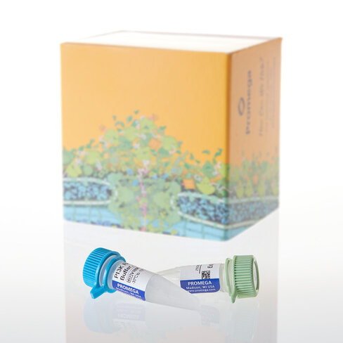 PI3K (p120 Gamma), 20 ?g