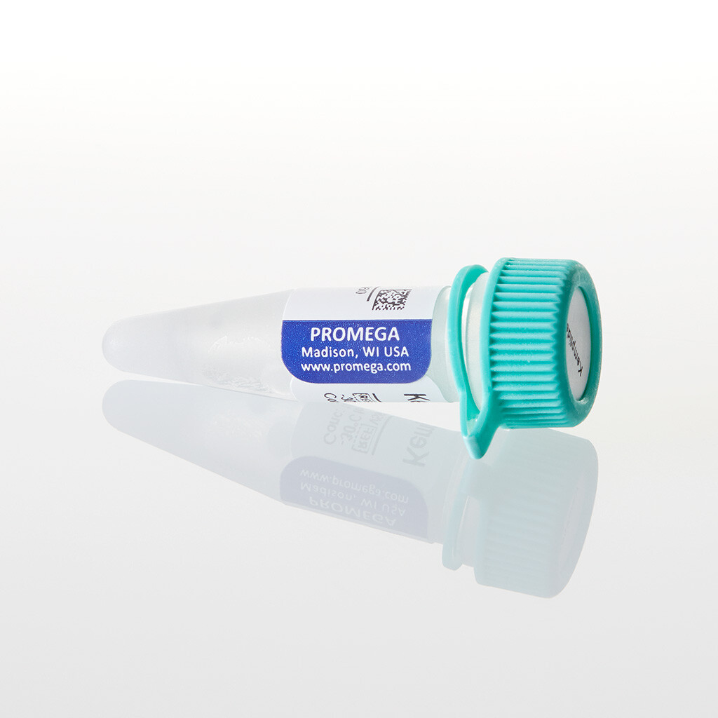 Kemptide (PKA) Peptide Substrate, 1 mg