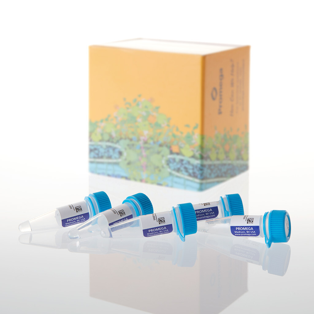 UDP-GlcNAc, 100 mM, 250 ?L