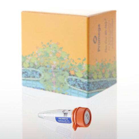 UDP-Gal, 100 mM, 50 ?L