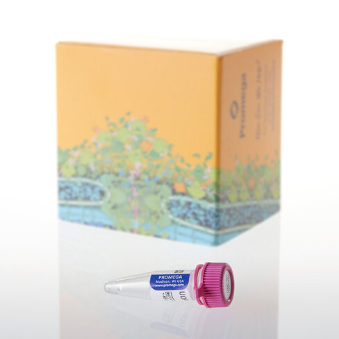 UDP-GA, 100 mM, 50 ?L