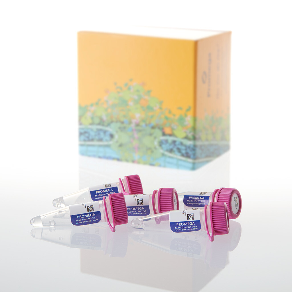 UDP-GA, 100 mM, 250 ?L