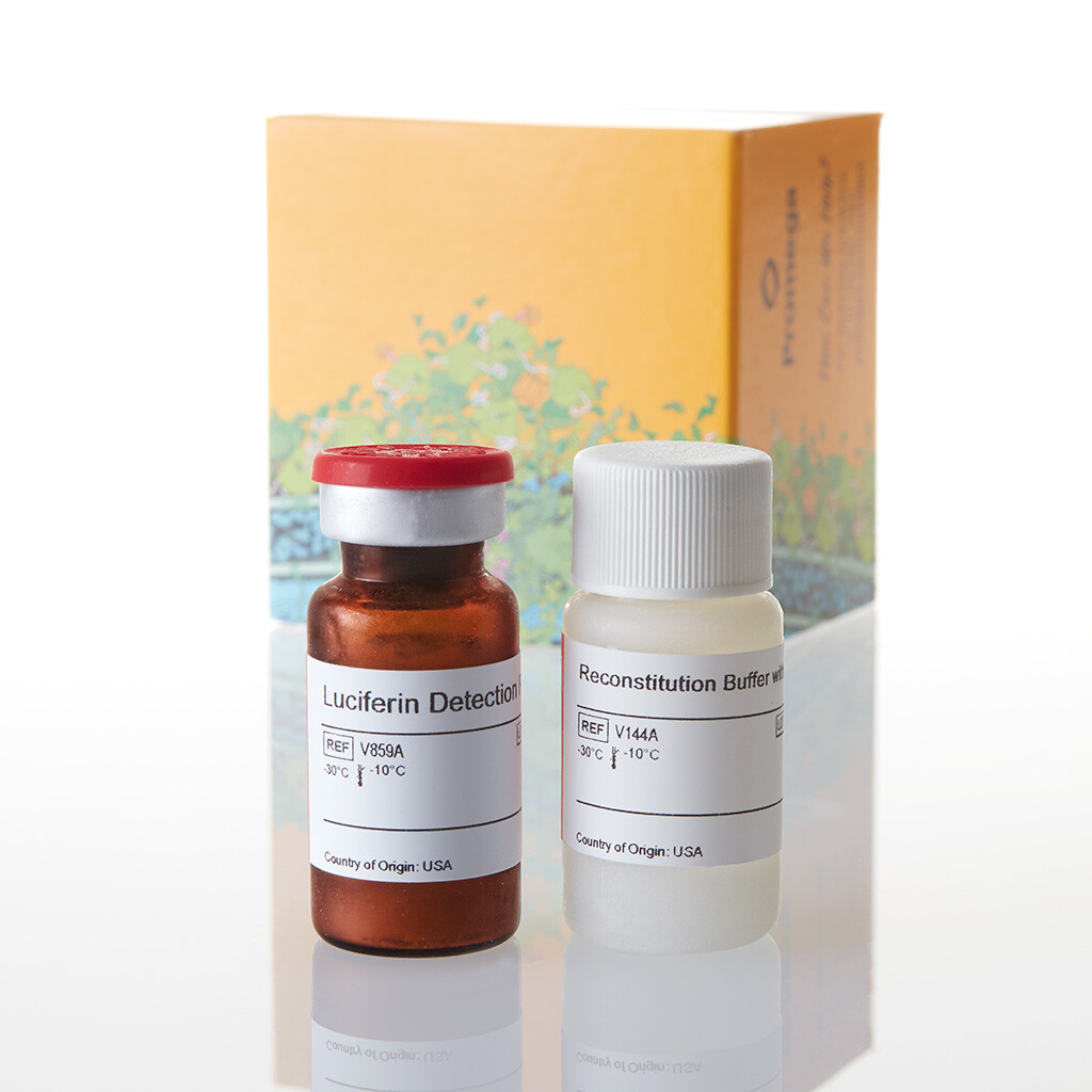 Luciferin Detection Reagent, esterase 10