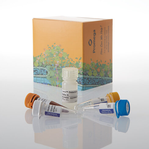 Lumit IL-17A (Human) Immunoassay