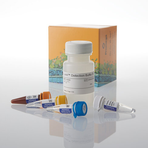 Lumit IL-17A (Human) Immunoassay