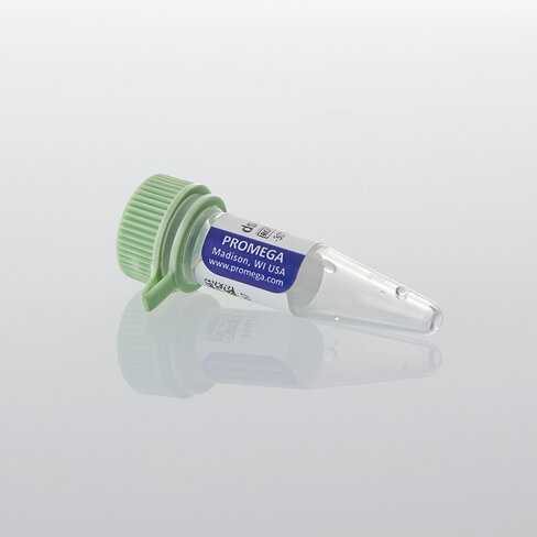 Lumit dsRNA Standard, 15 ?l