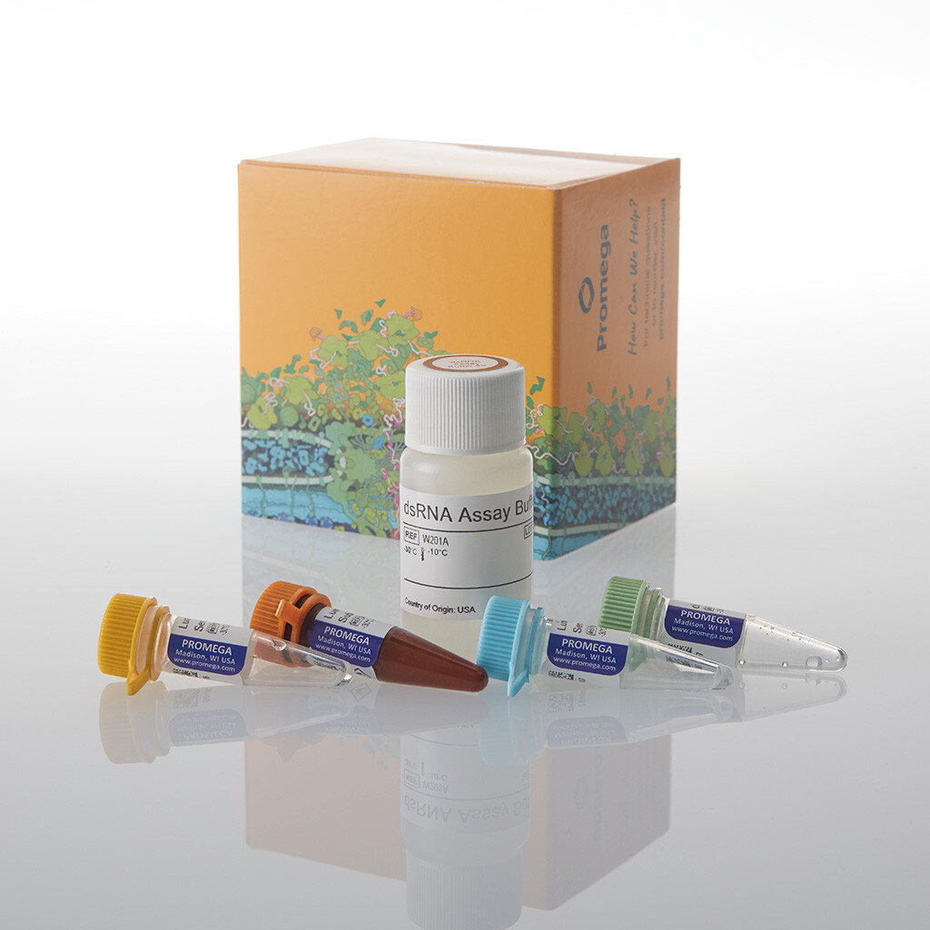 Lumit dsRNA Detection Assay 5X
