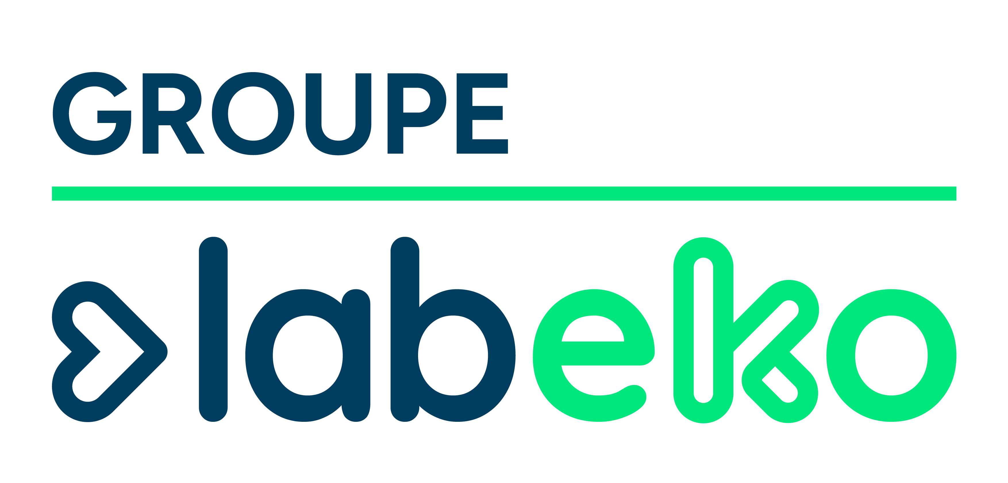 Coussinet de rechange pour casque filaire Pour softphone Labeko Evolve 75 - lot de 5 paires