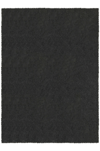 Filtre à charbon de rechange pour hotte Temium 4844467