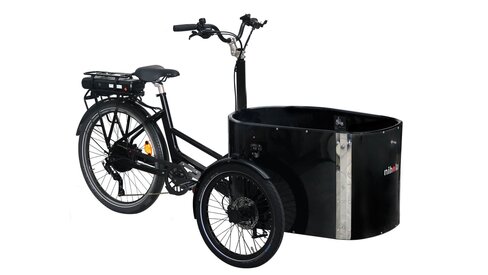 Triporteur électrique CARGO Basic - 43 V - 10,4 Ah - 450 Wh - Assistance roue arrière Bafang