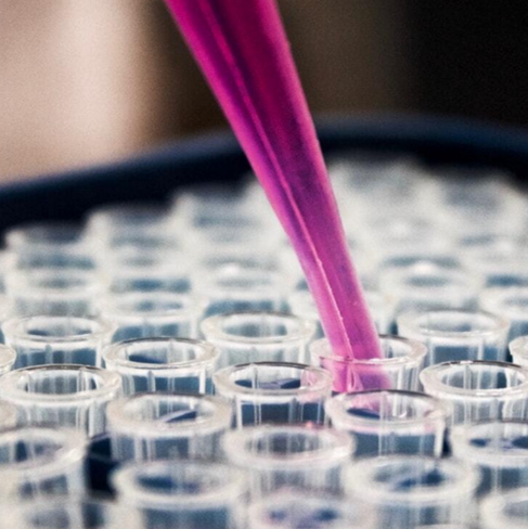 Agarose 2%, dye-free, w/ internal standards, Pippin Prep, 100 - 600 bp, 10/pk, Marker E