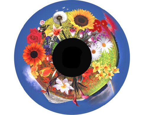 Disque - pour projecteur - thématique fleurs de champ - fixation magnétique - dimension disque : 6''