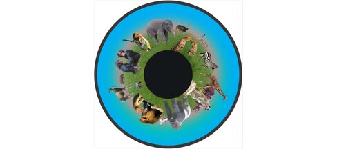Disque - pour projecteur - thématique animaux d'Afrique - fixation magnétique - dimension disque : 6''
