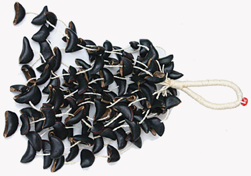 Hochet en coquilles de noix - Secouez l instrument pour produire un son ressemblant à une chute d eau.