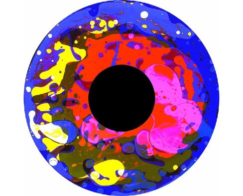 Disque à huile - pour projecteur - 8A - fixation magnétique - dimension disque : 6''