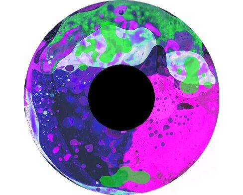 Disque à huile - pour projecteur - 8K, doux - fixation magnétique - dimension disque : 6''