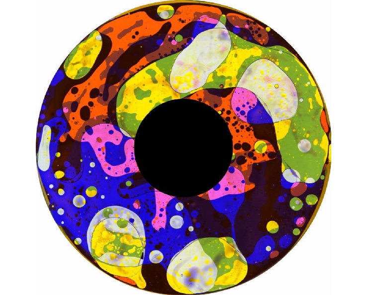 Disque à huile - pour projecteur - M - fixation magnétique - dimension disque : 6''