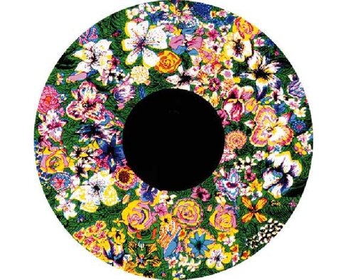 Disque - pour projecteur - thématique flore - fixation magnétique - dimension disque : 6''