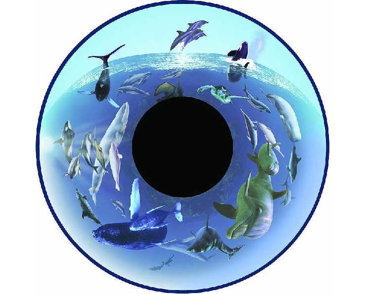 Disque - pour projecteur - thématique baleines - fixation magnétique - dimension disque : 6''