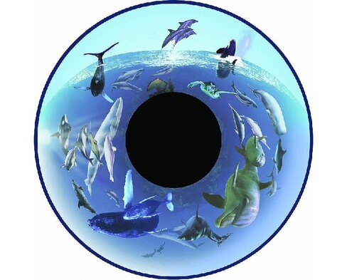 Disque - pour projecteur - thématique baleines - fixation magnétique - dimension disque : 6''