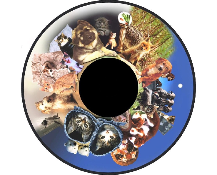 Disque - pour projecteur - thème Fluffy (chiens et chats) - fixation magnétique - dimension disque : 6''