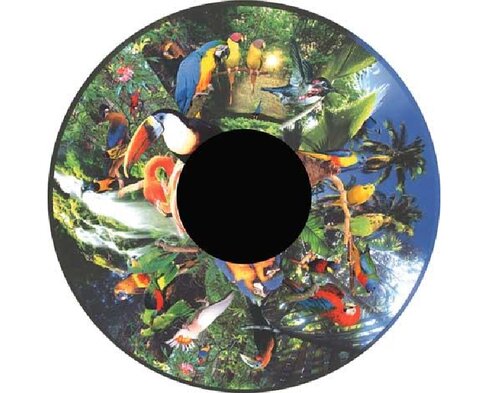 Disque - pour projecteur - thématique oiseaux tropicaux - fixation magnétique - dimension disque : 6''
