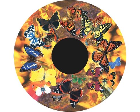 Disque - pour projecteur - thématique papillons - fixation magnétique - dimension disque : 6''