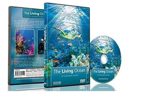 DVD ambiance - L'océan vivant