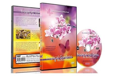 DVD ambiance - Jardin et papillons