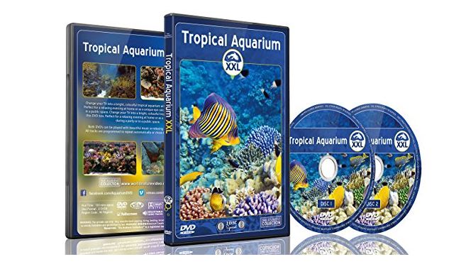 DVD ambiance - Aquarium Tropical