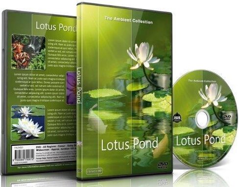 DVD ambiance - Étang aux lotus