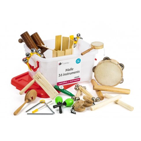 Instrument de musique - Malle de 16 instruments (40 x 24 x 23 cm)