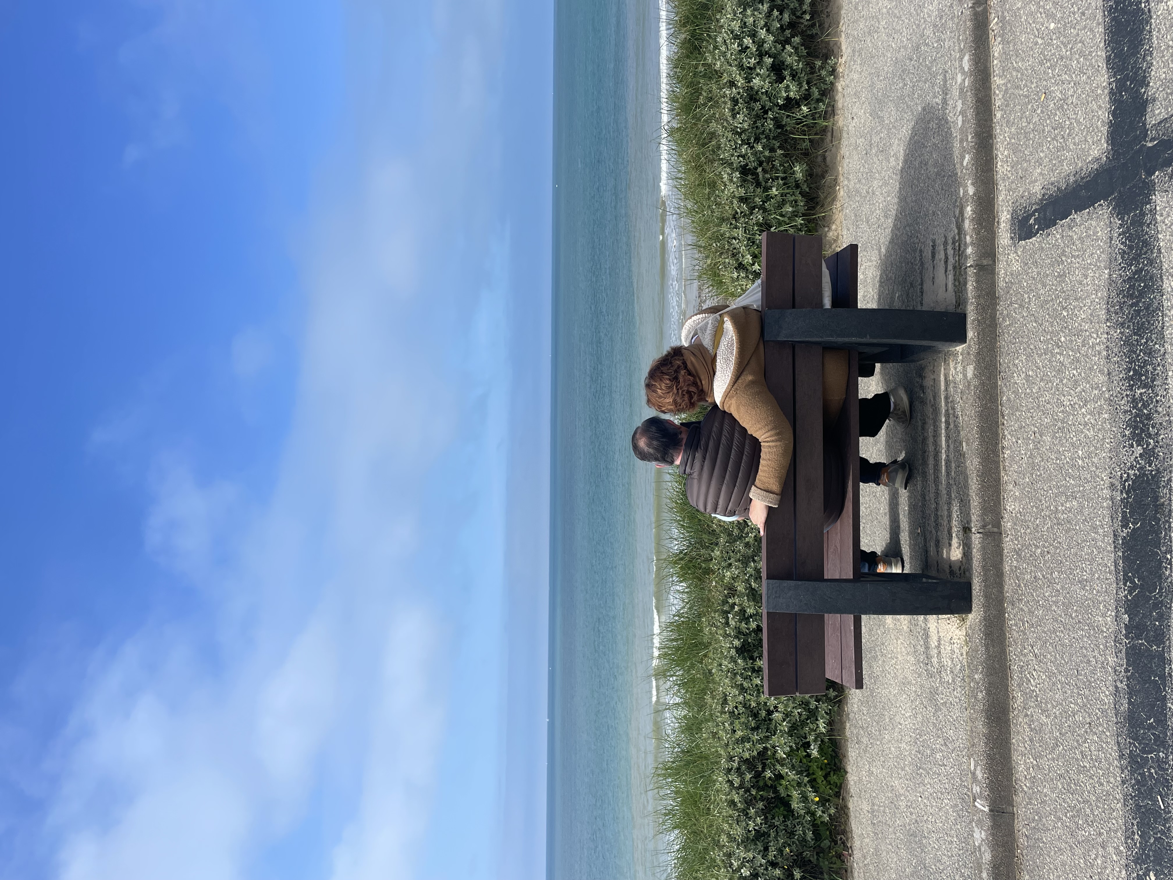 Banc Forestier - piètement noir - l. 180 cm - coloris standard - livré non déchargé