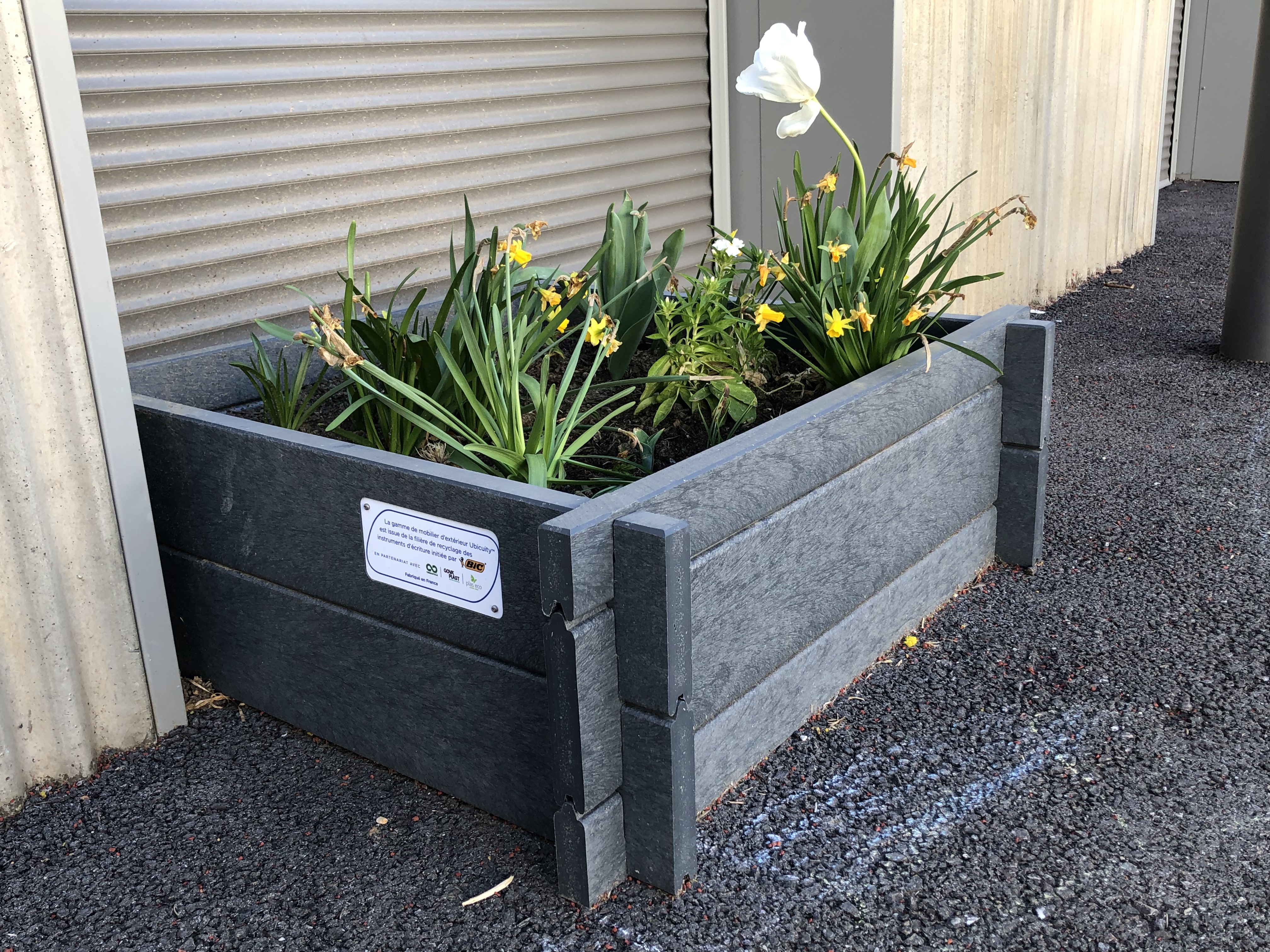 Potager pédagogique Ubicuity - carré - 80 L - livré non déchargé