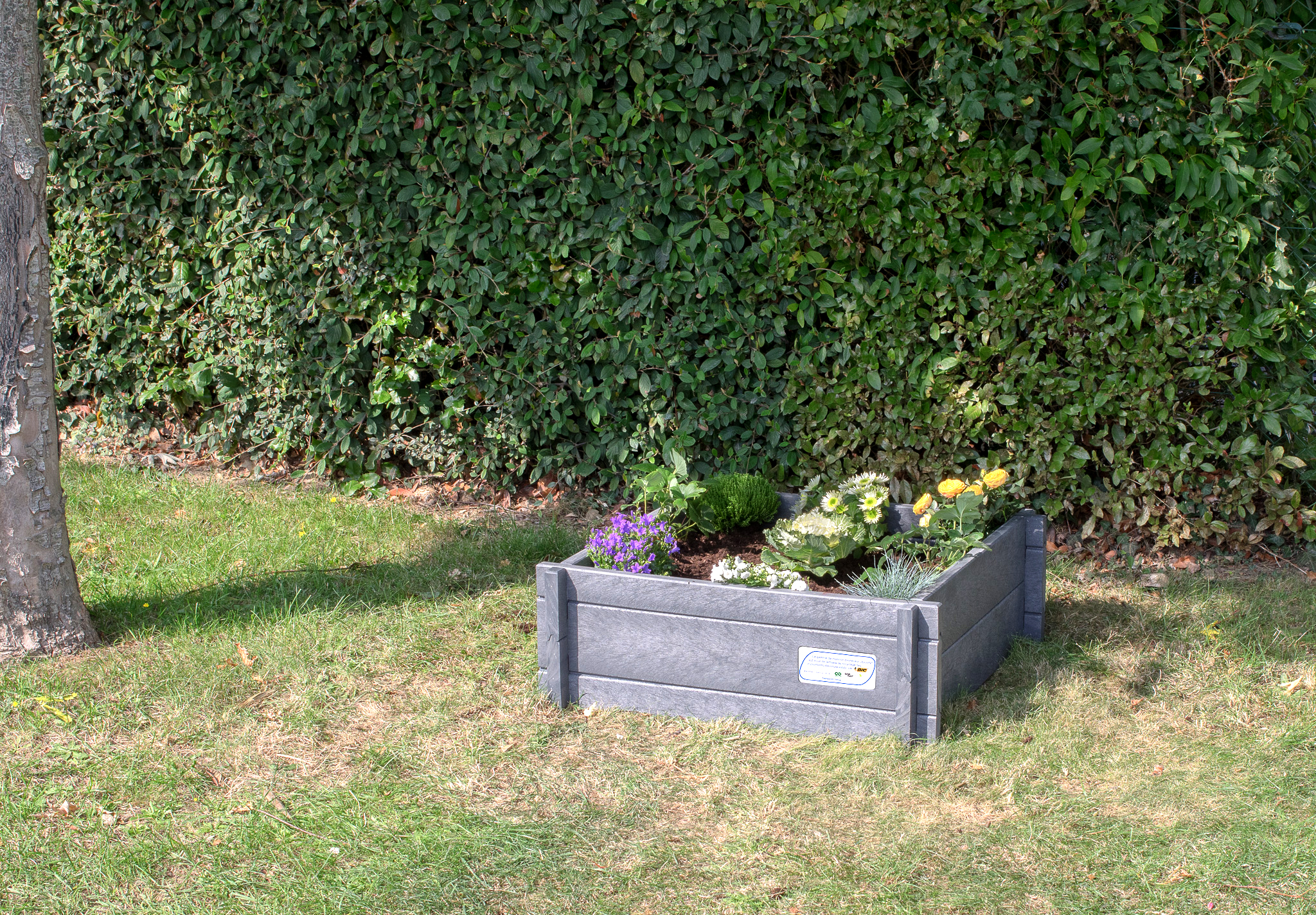 Potager pédagogique Ubicuity - carré - 80 L - livré non déchargé