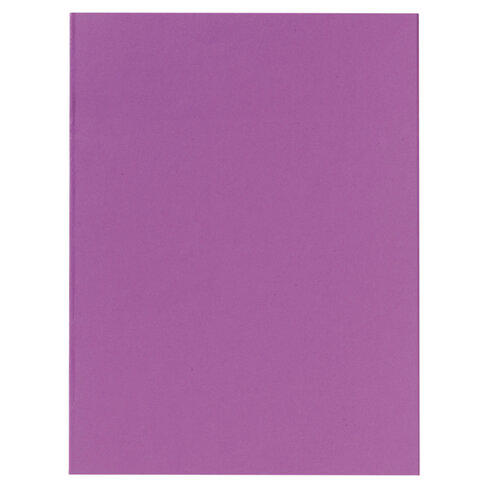 Chemise A4 Lyreco Premium - carte 220 g - violet - lot de 100