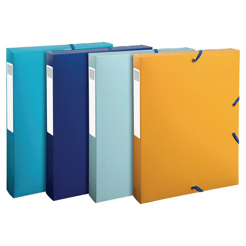Boite de classement recyclée Exacompta Beeblue - dos 4 cm - polypropylène - coloris assortis - lot de 4