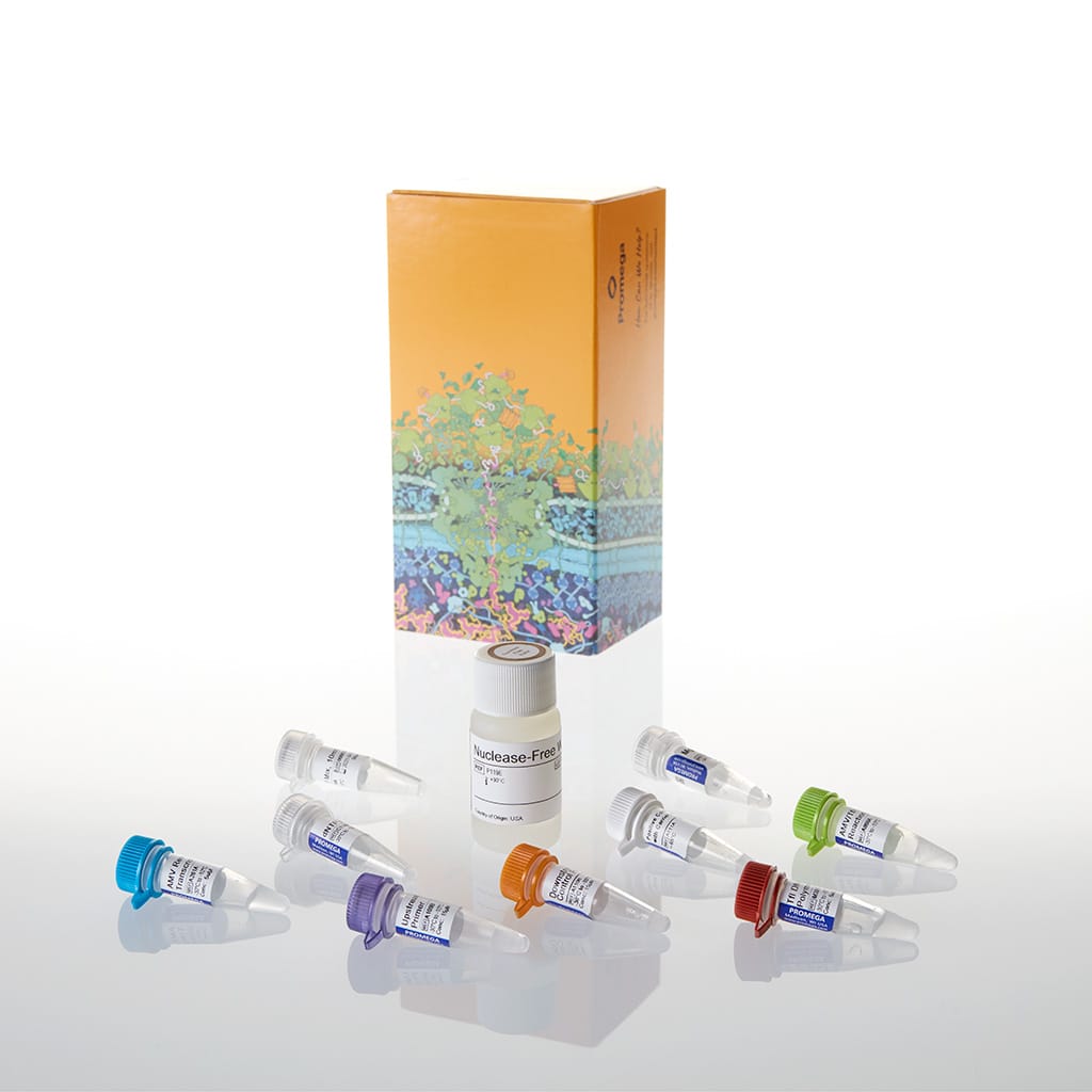 Access RT-PCR System 100 reactions