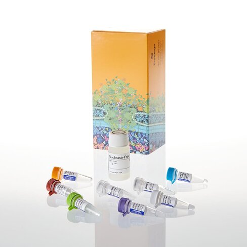 Access RT-PCR Introductory System 20 reactions