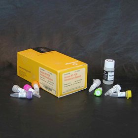 Access RT-PCR System 500 réactions