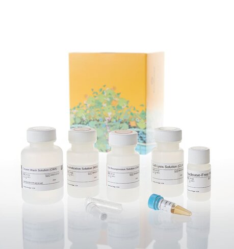 Wizard Plus SV Minipreps DNA Purif. Sys 50 preps