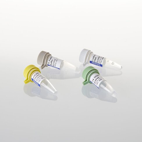 PGEM -T Easy Vector System I 20 reactions